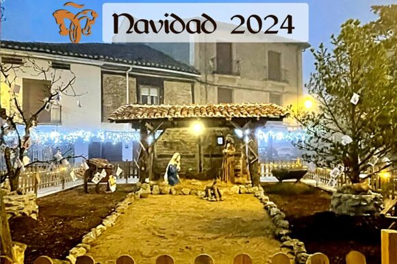 Programación Navidad 2024